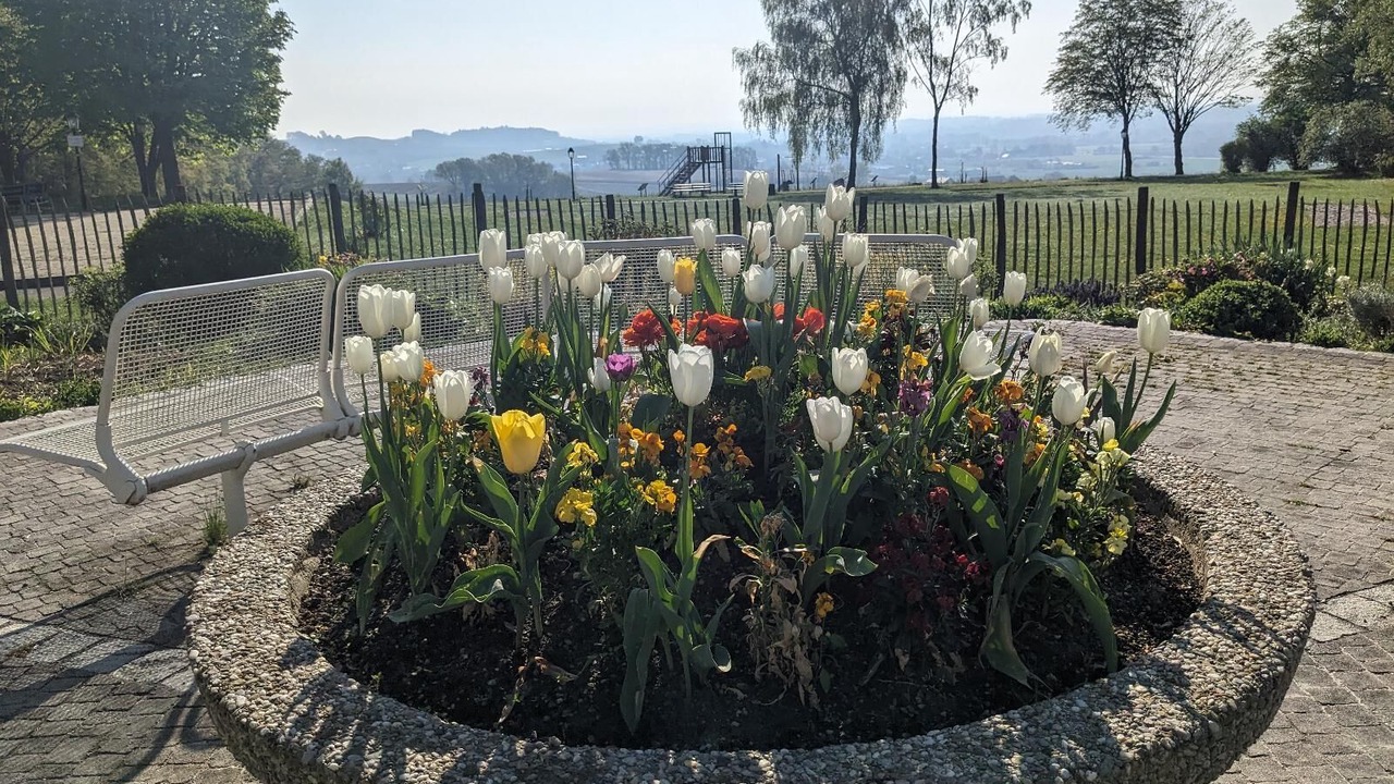 Photo of Outdoor in Bad Griesbach-Therme