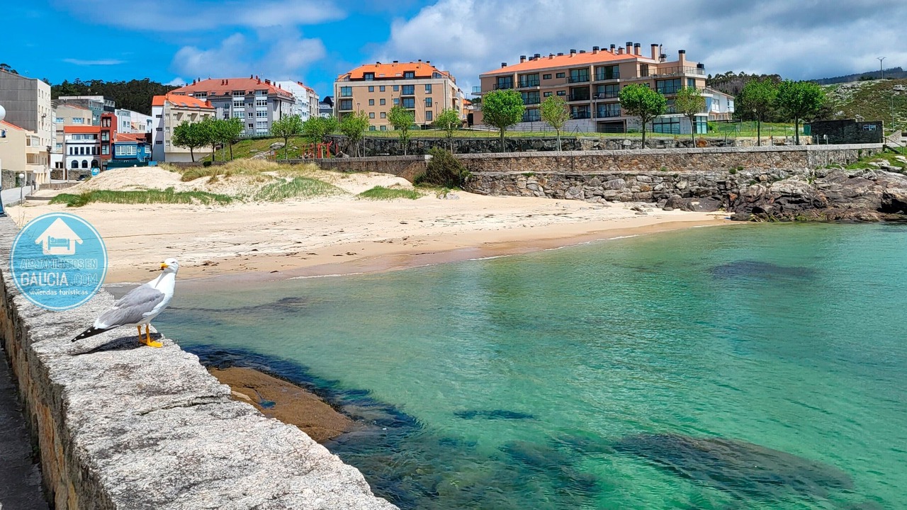 Photo of Others in Corme Porto
