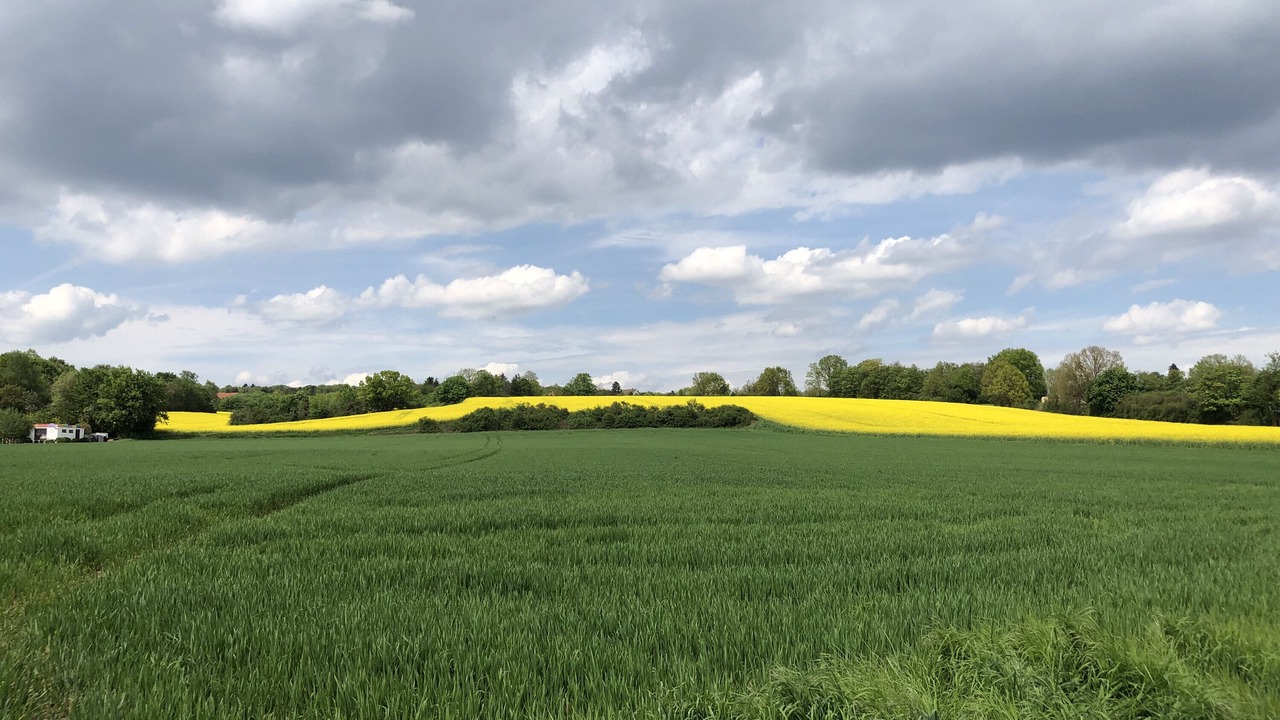 Photo of Others in Zirndorf