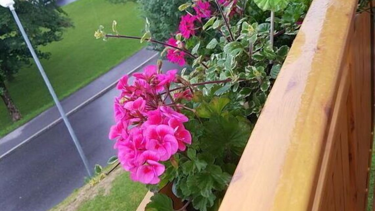 Photo of Outdoor in Hoefen