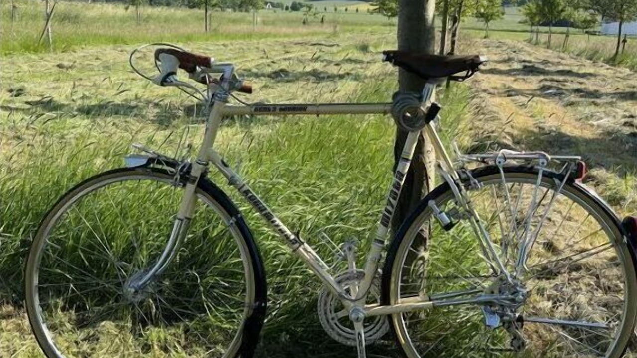 Photo of Outdoor in Bad Essen