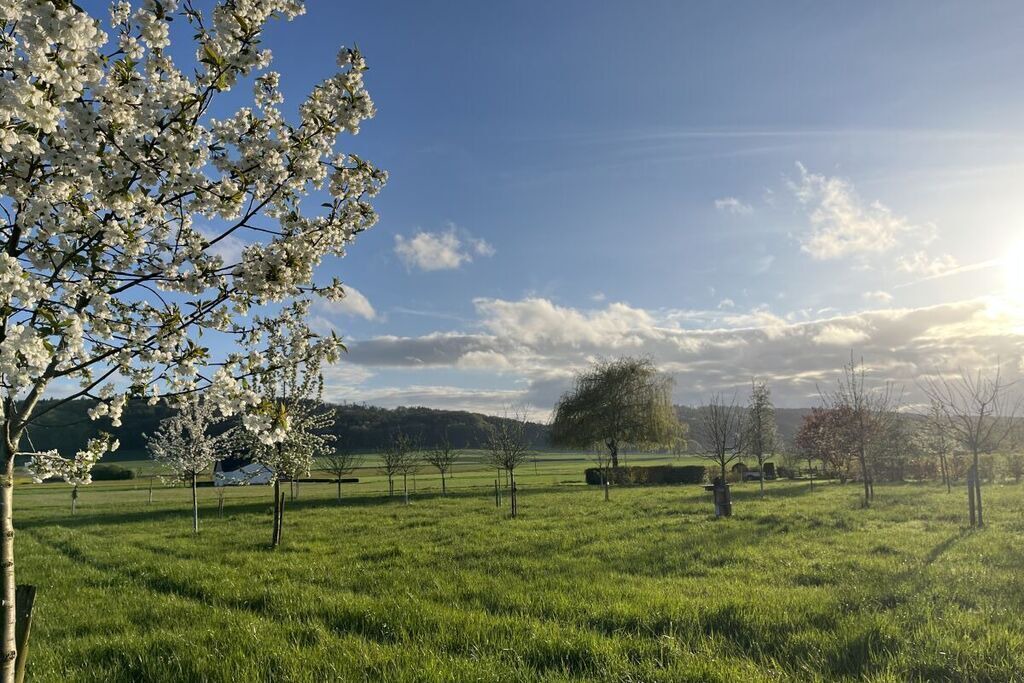 Photo of Outdoor in Bad Essen