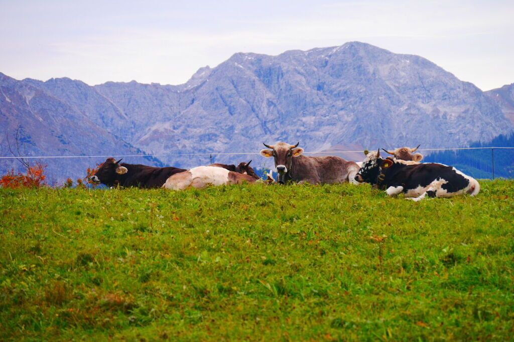 Photo of Others in Blaichach