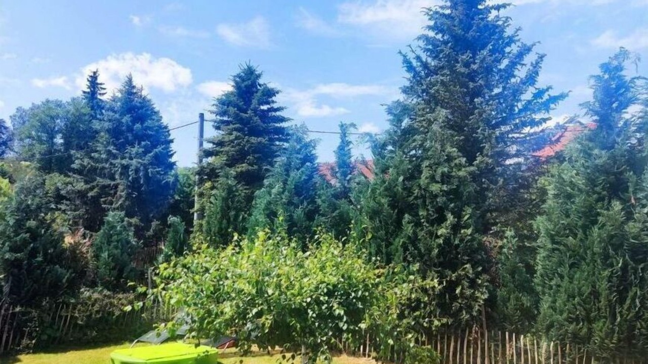 Photo of Others in Berggieshubel