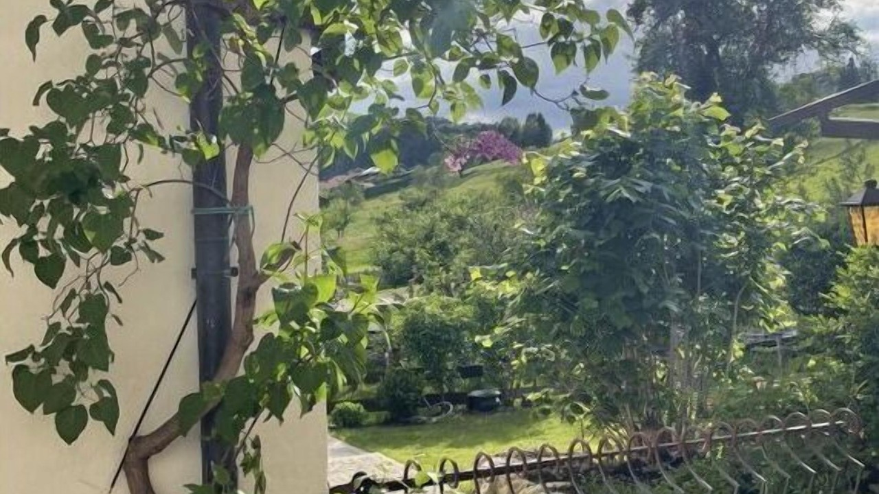 Photo of Outdoor in Torwang