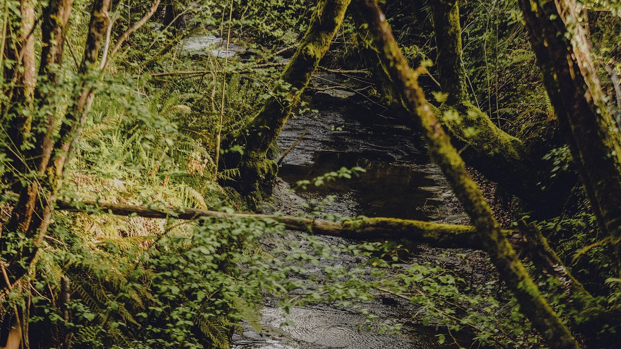 Photo of Outdoor in Traslavina