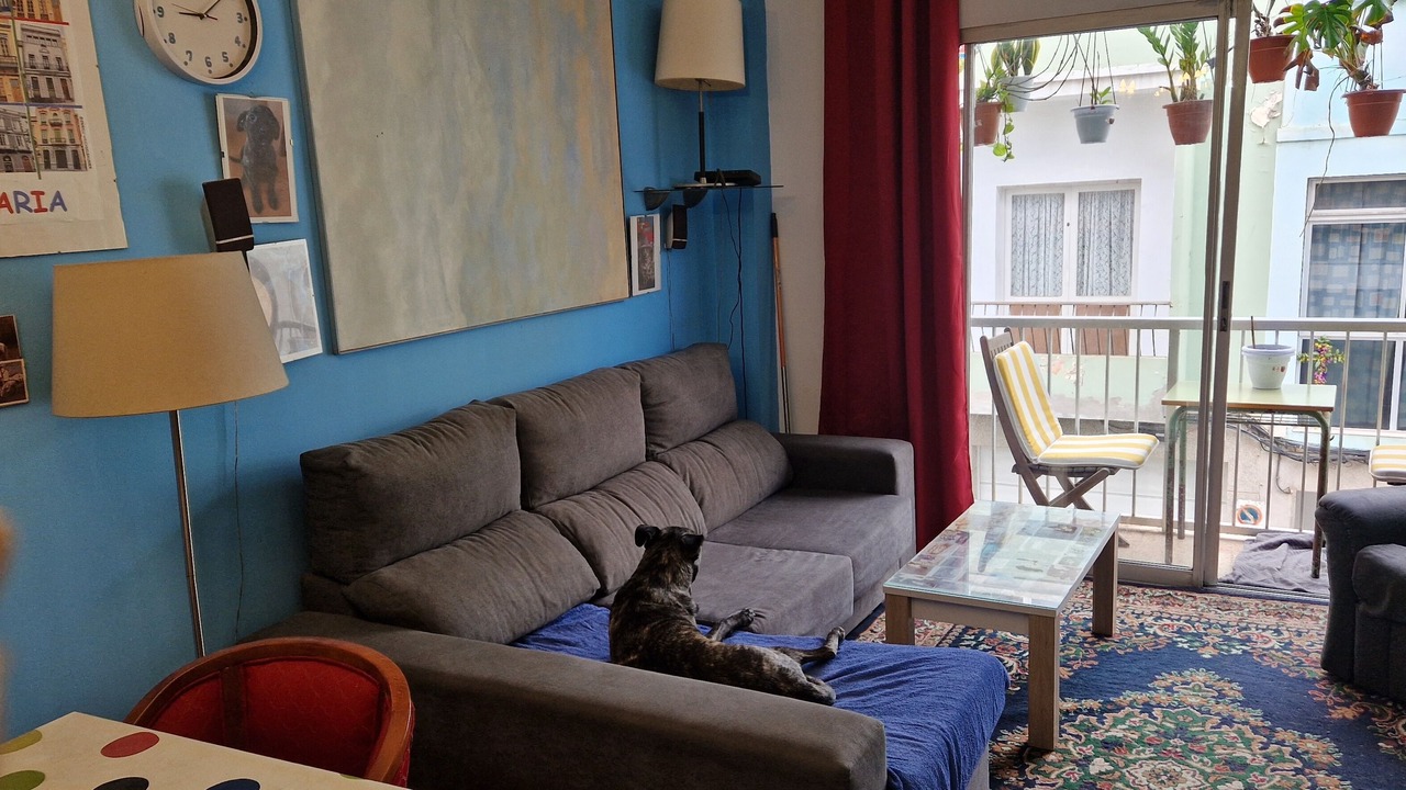 Photo of Others in Las Palmas de Gran Canaria