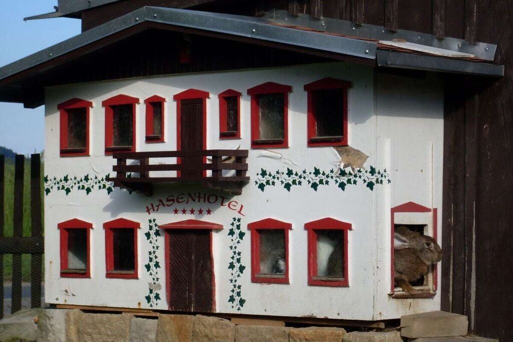 Photo of Outdoor in Reinhardtsdorf-Schoena