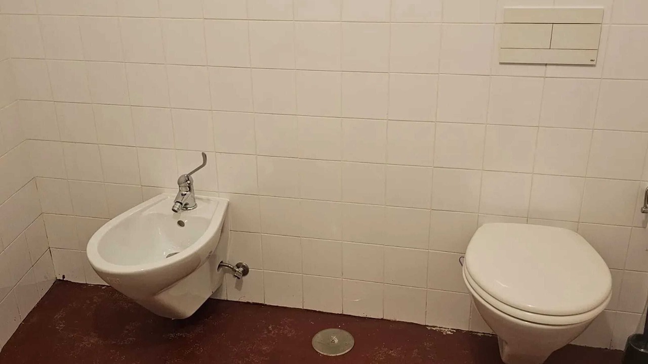 Photo of Bathroom in Sabugal e Aldeia de Santo Antonio