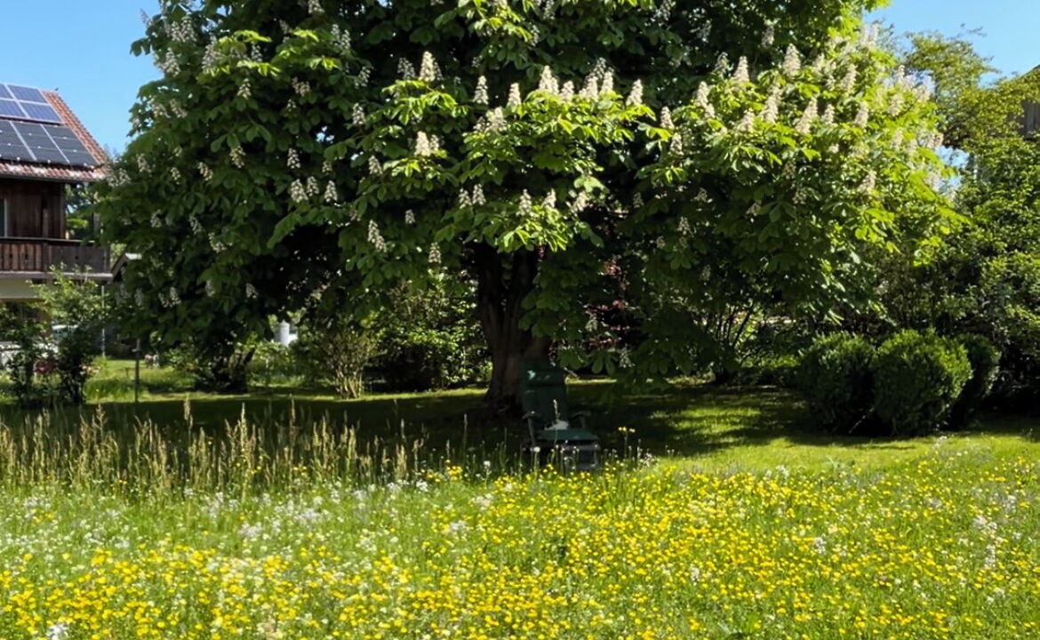 Photo of Others in Beuerberg