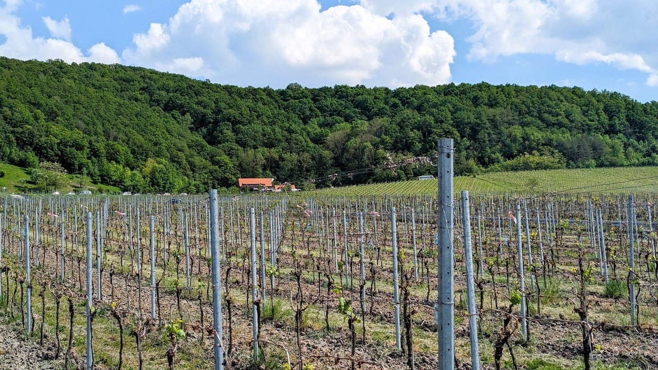 Photo of Outdoor in Obernbreit