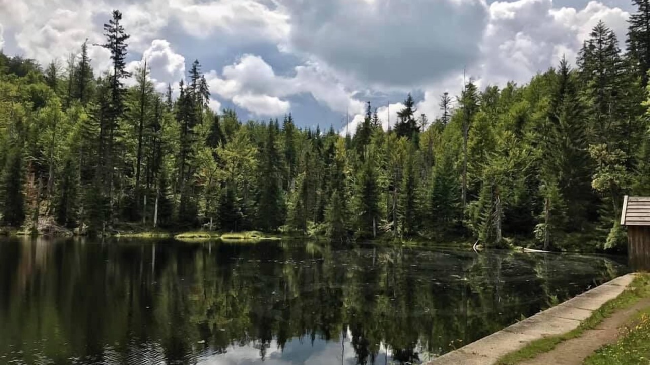 Photo of Outdoor in Spiegelau