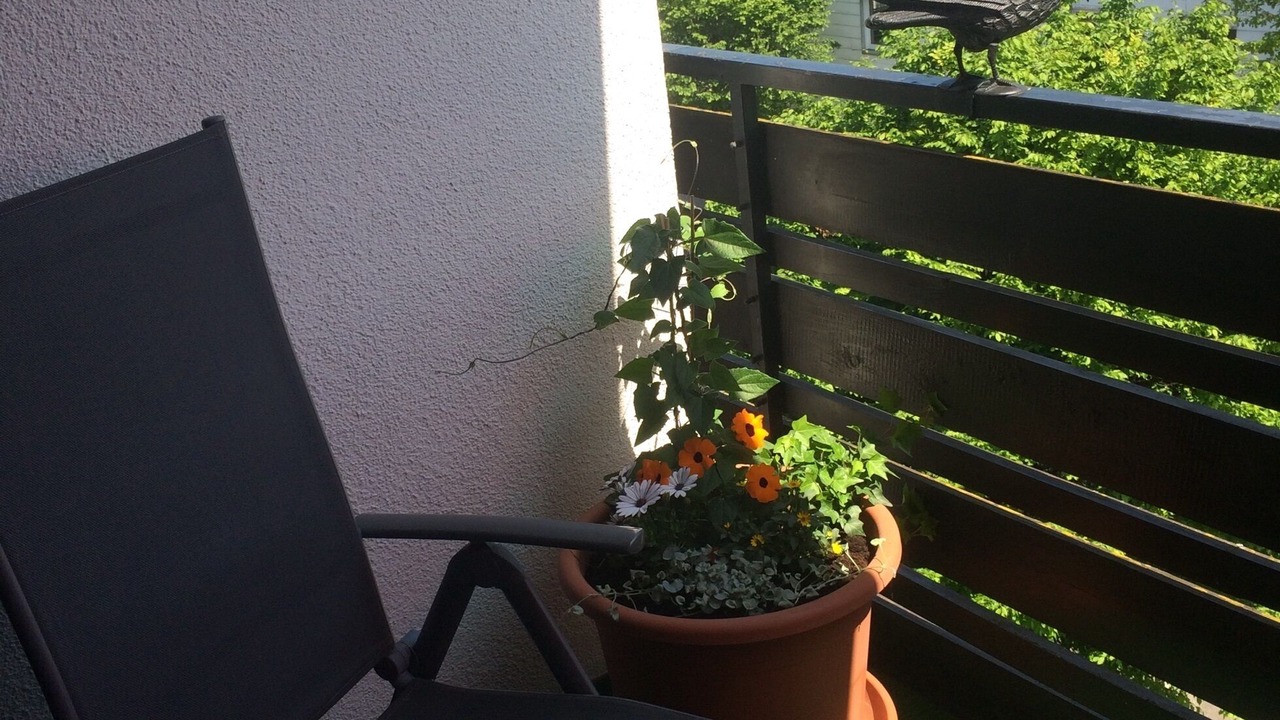 Photo of Outdoor in Prien am Chiemsee