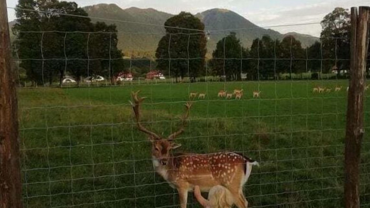 Photo of Outdoor in Lenggries