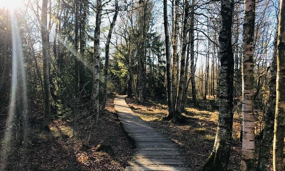Photo of Outdoor in Stetten