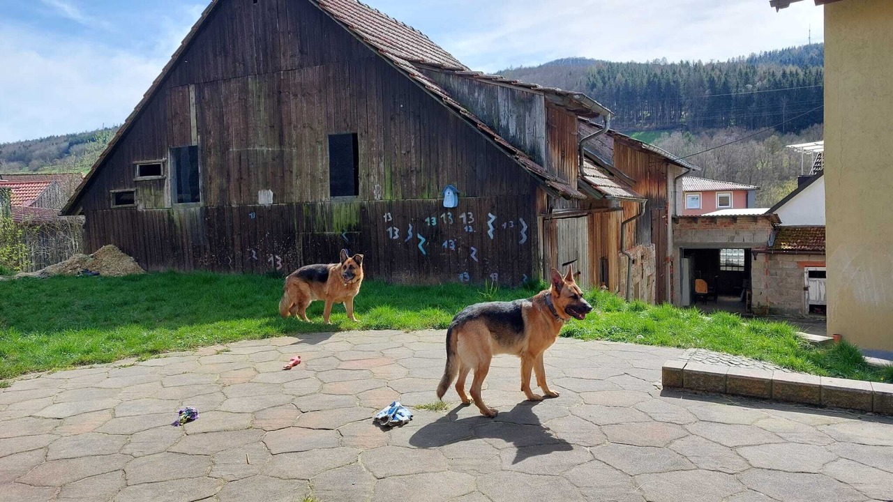 Photo of Outdoor in Bad Brueckenau