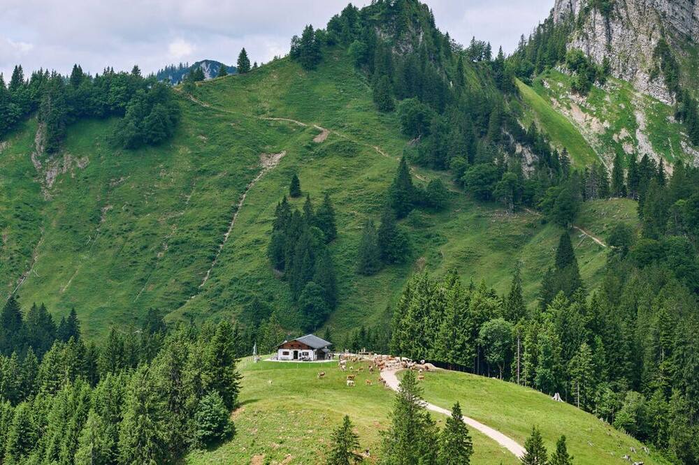 Photo of Others in Marquartstein