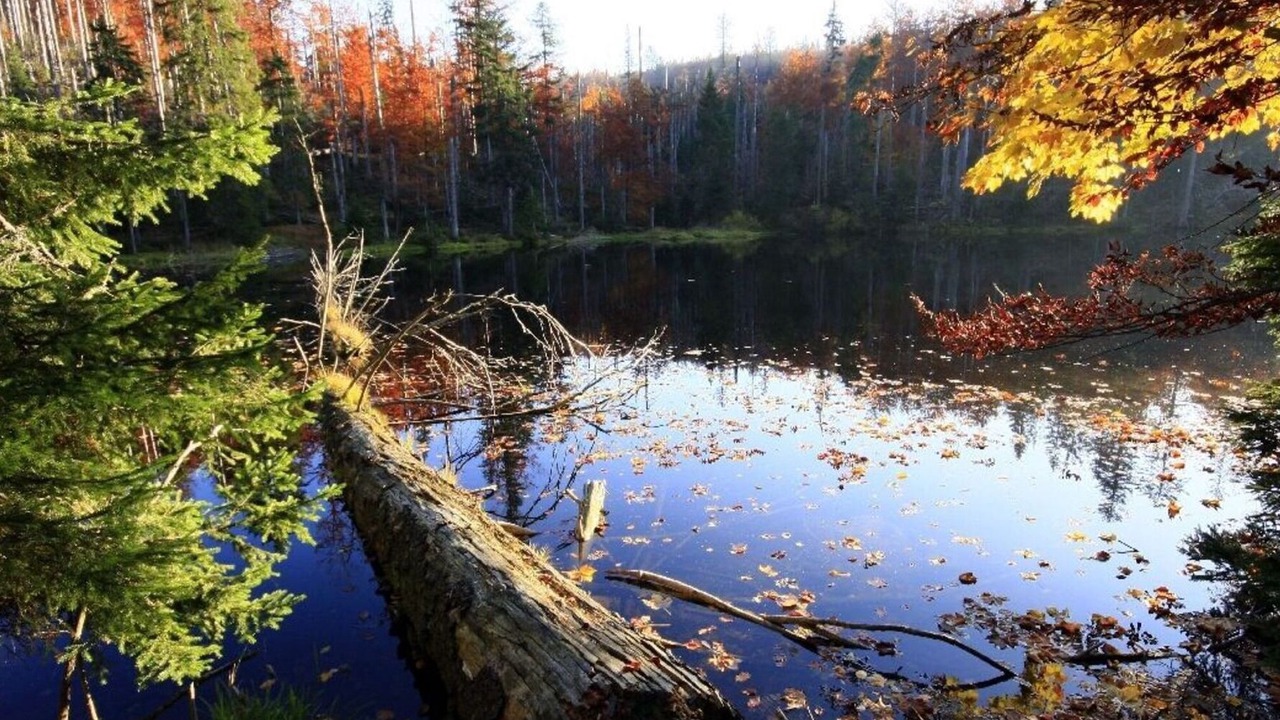 Photo of Outdoor in Bad Koetzting
