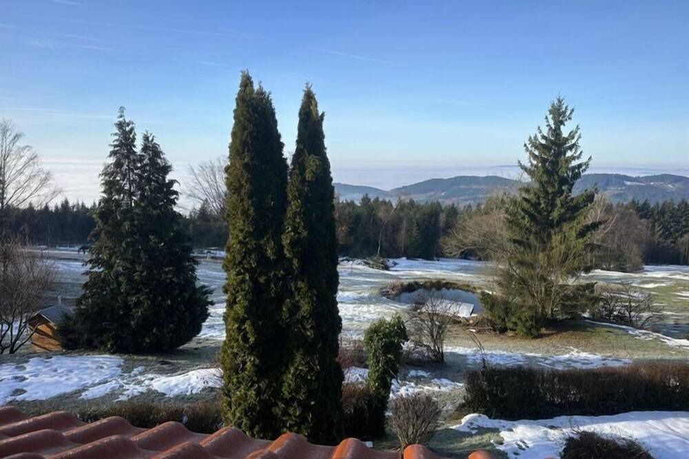 Photo of Others in Maibrunn