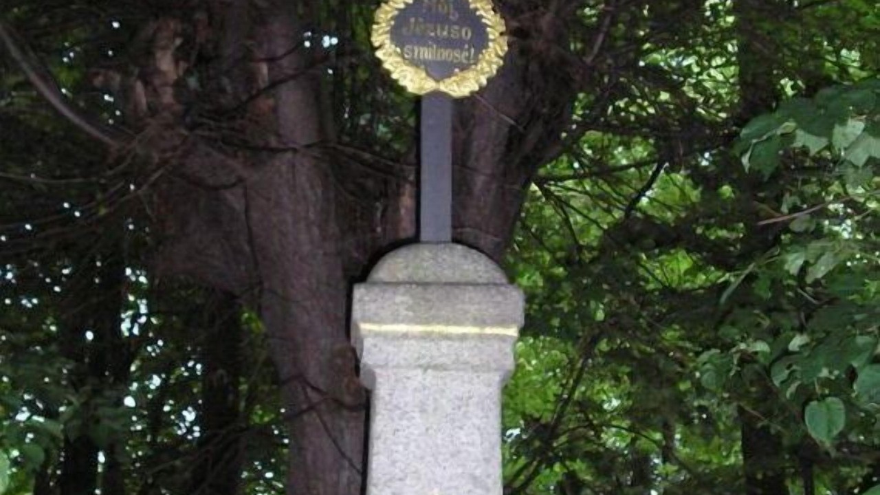 Photo of Others in Nebelschutz