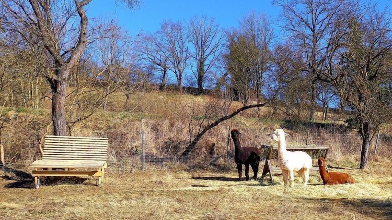 Photo of Outdoor in Baudenbach