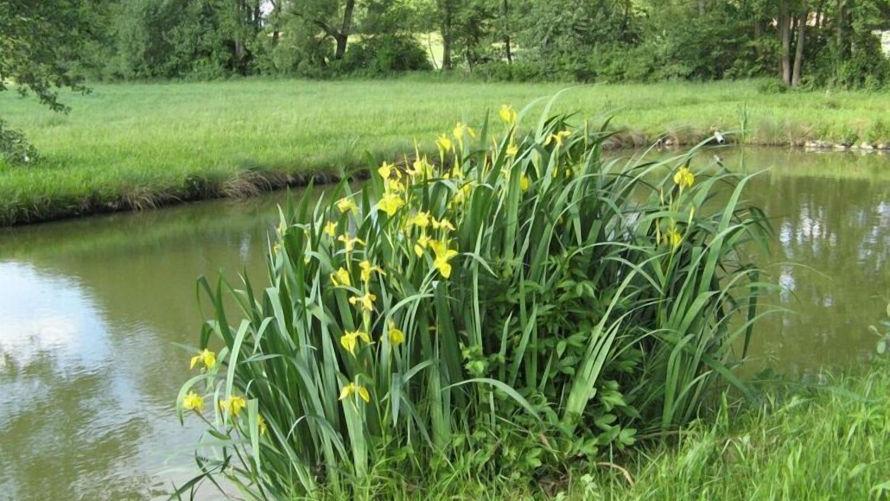 Photo of Outdoor in Baudenbach