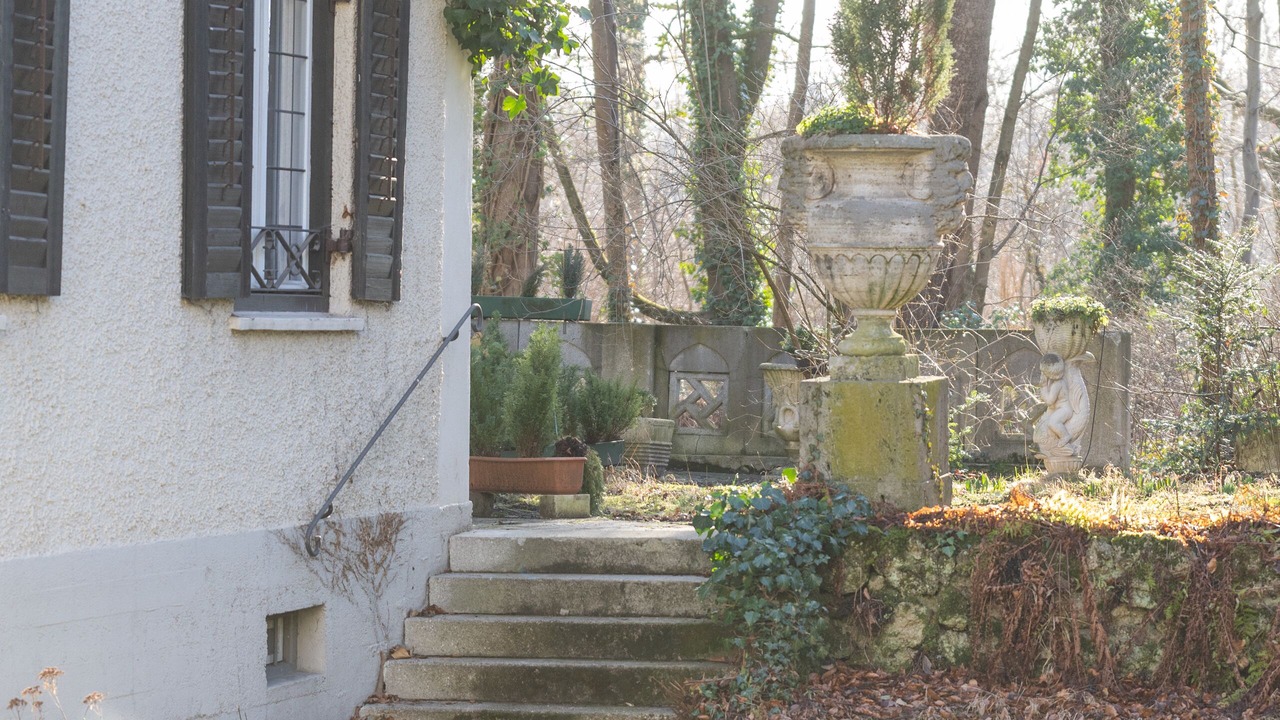 Photo of Outdoor in Biederstein