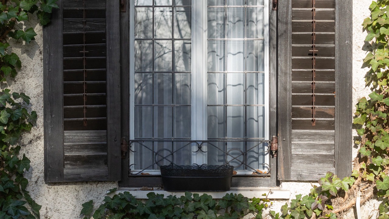 Photo of Outdoor in Biederstein