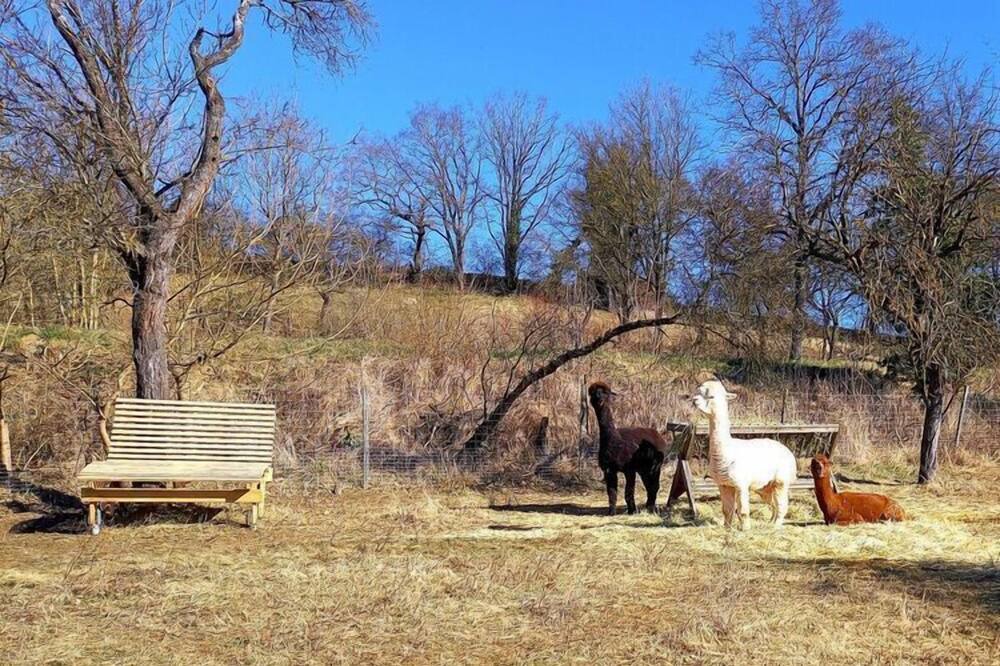 Photo of Others in Baudenbach