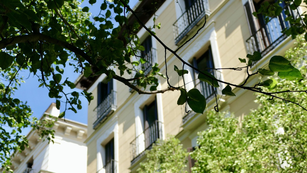 Photo of Outdoor in Recoletos