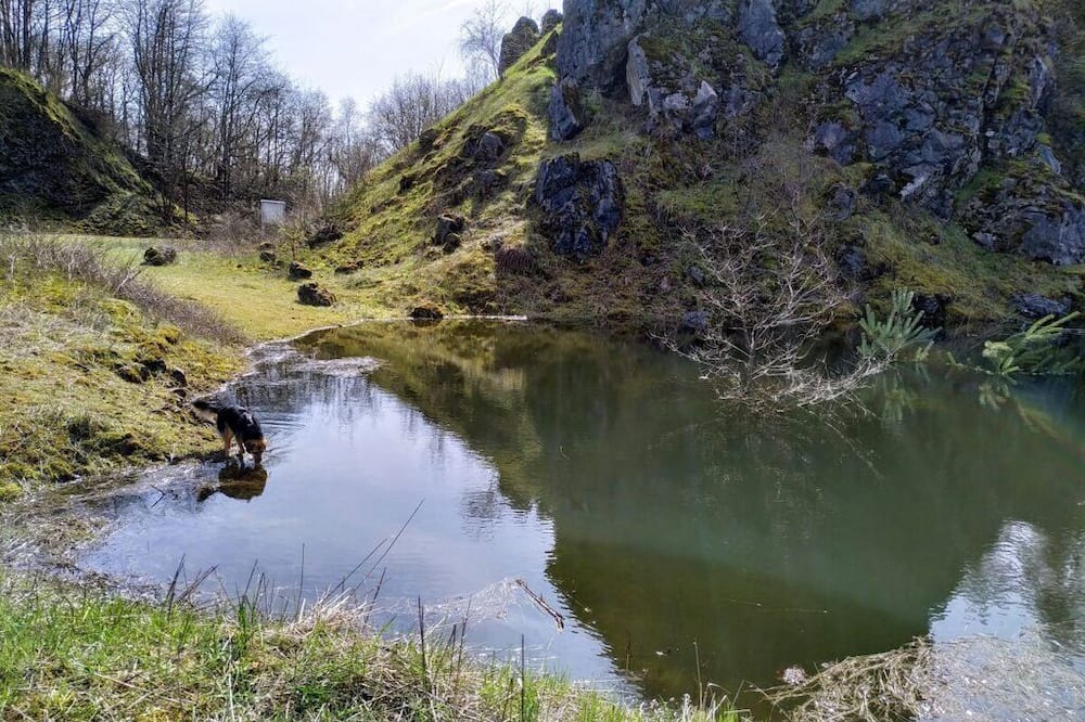 Photo of Others in Bad Brueckenau