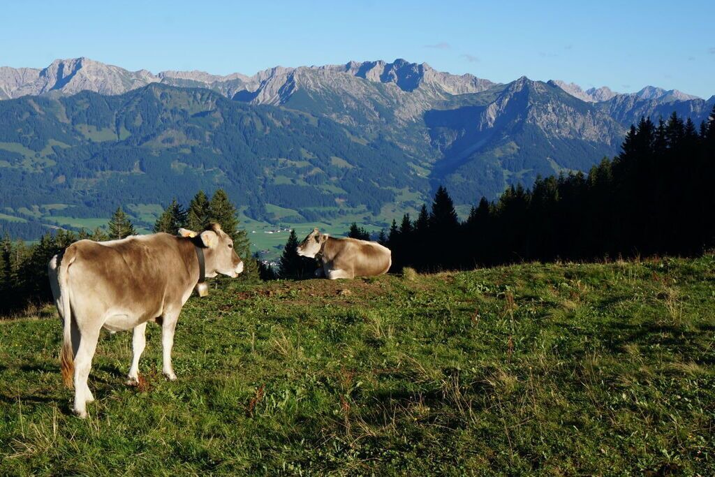 Photo of Others in Blaichach