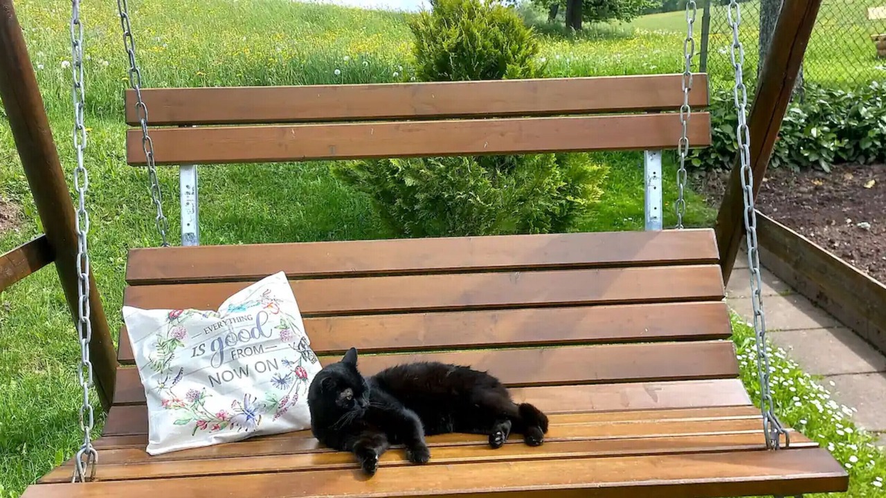 Photo of Outdoor in Wildflecken