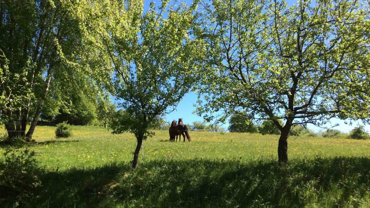 Photo of Others in Wildflecken