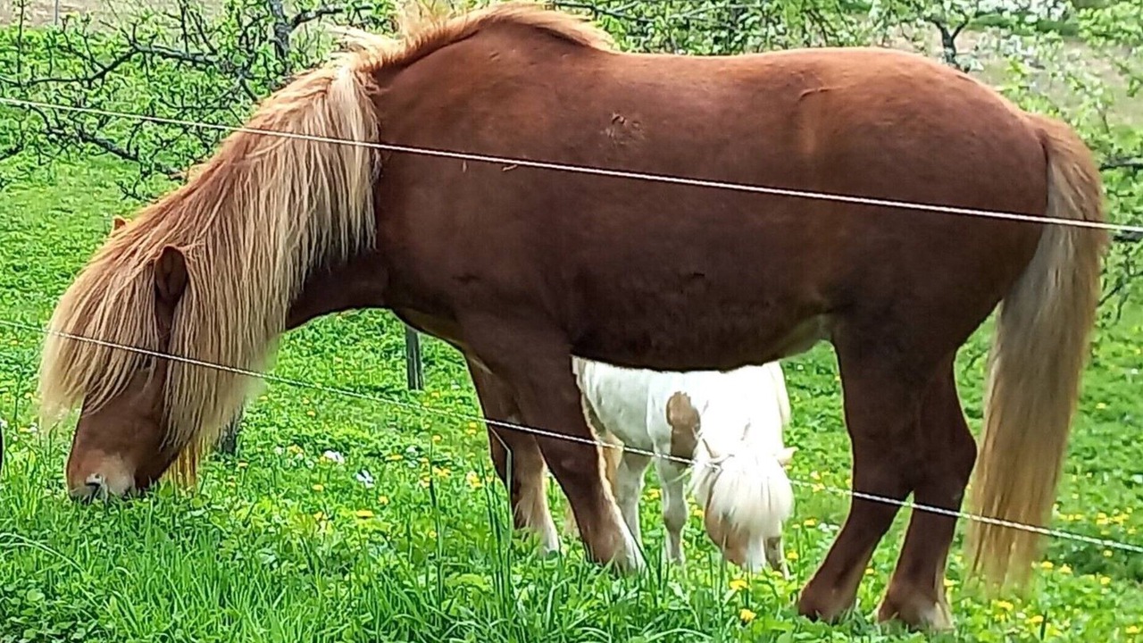 Photo of Others in Wildflecken