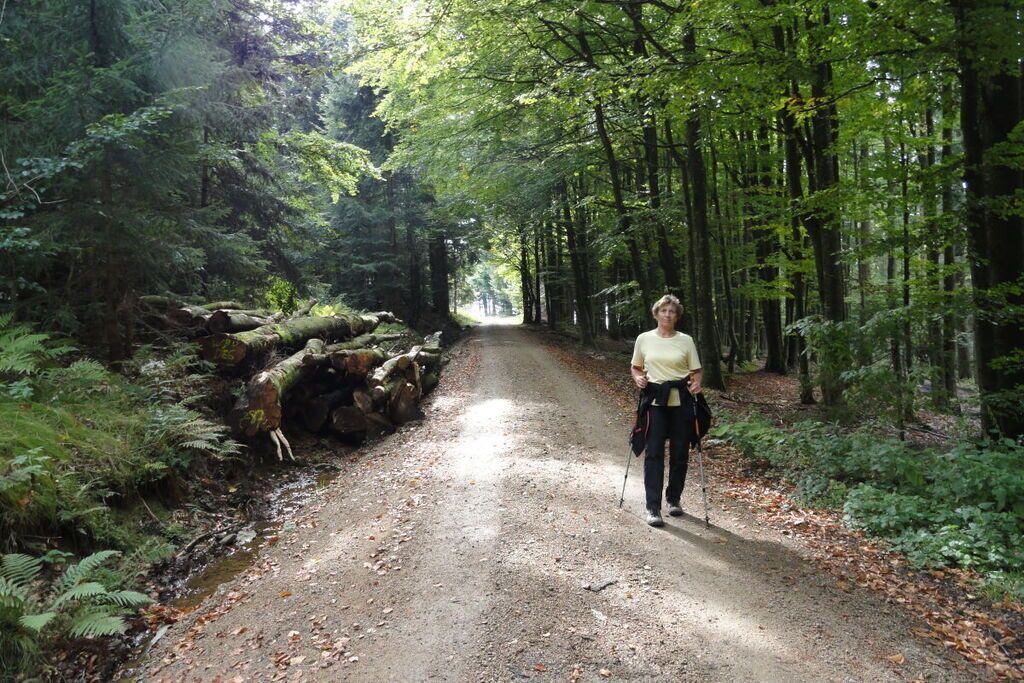 Photo of Outdoor in Deggendorf