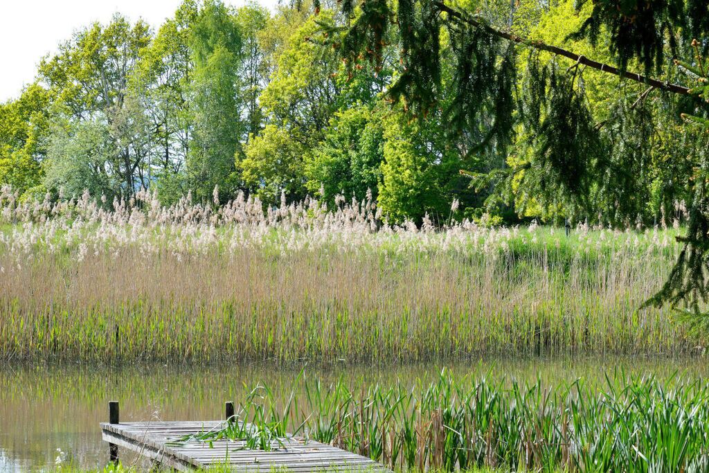 Photo of Others in Cunewalde