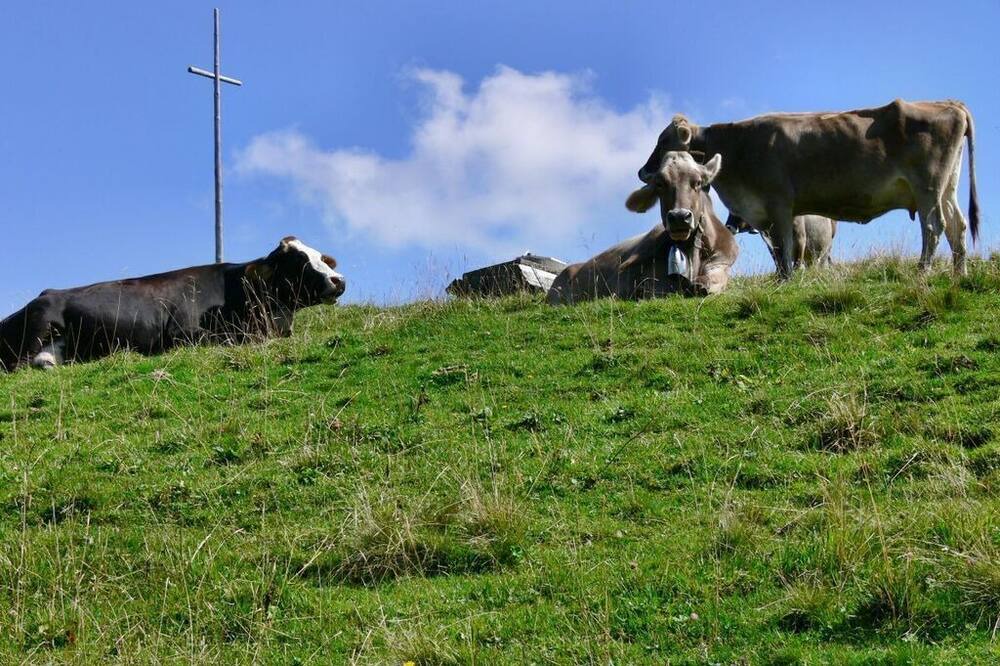 Photo of Others in Kalzhofen