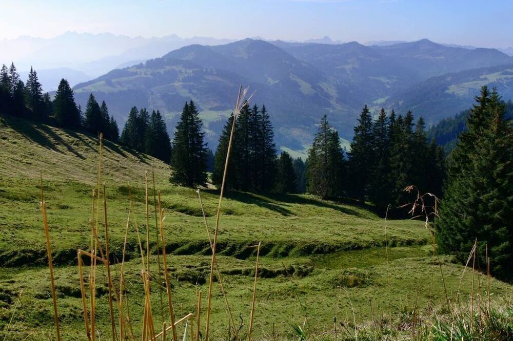 Photo of Others in Kalzhofen