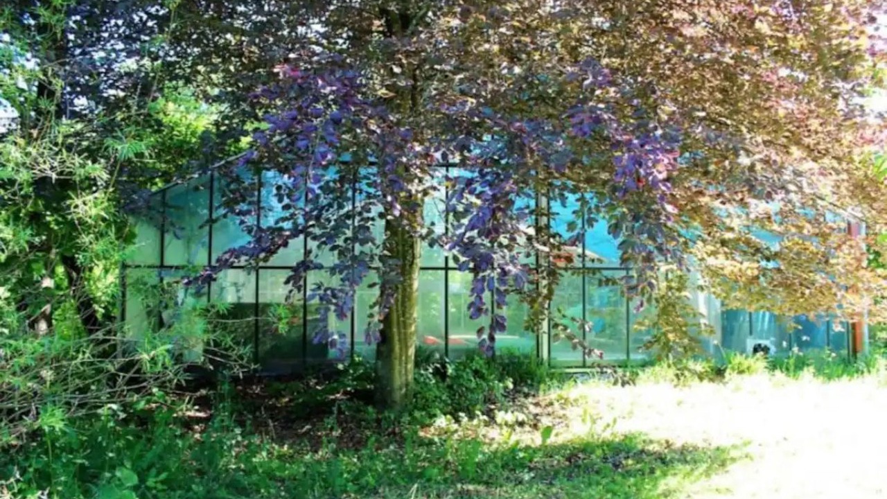 Photo of Outdoor in Dachau District