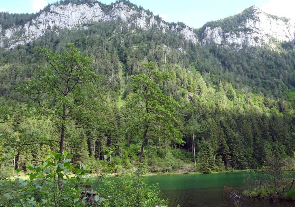 Photo of Outdoor in Bichl
