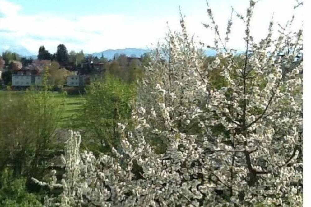 Photo of Others in Enzisweiler
