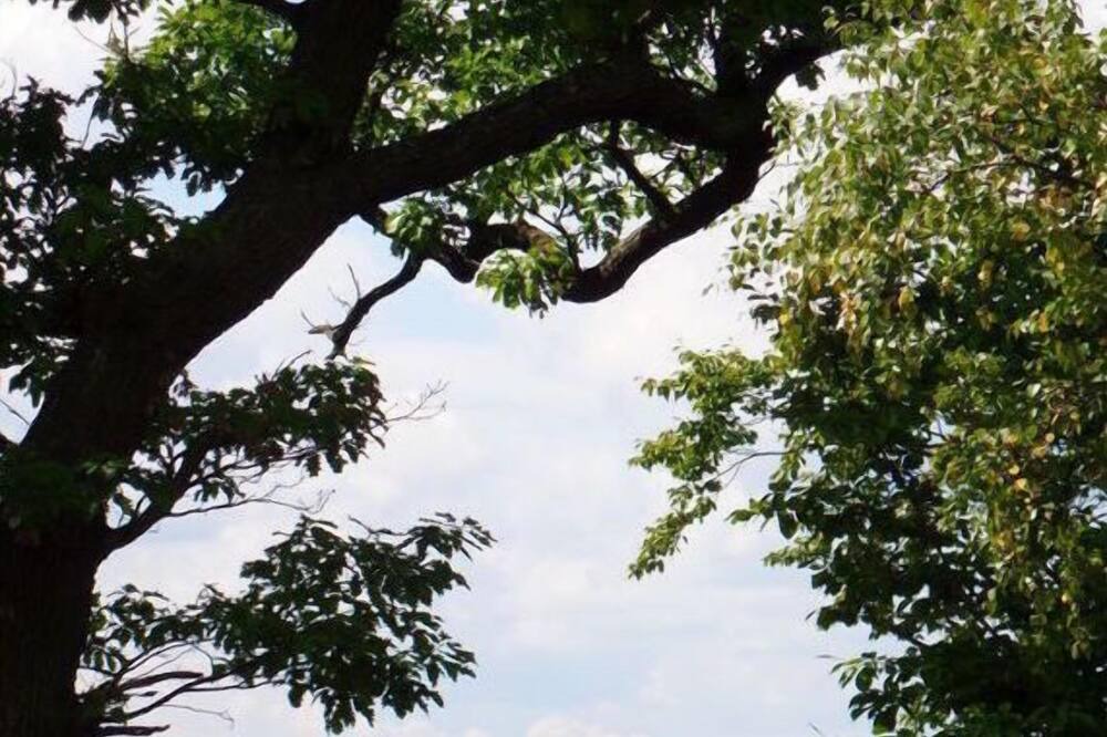 Photo of Others in Rathmannsdorf