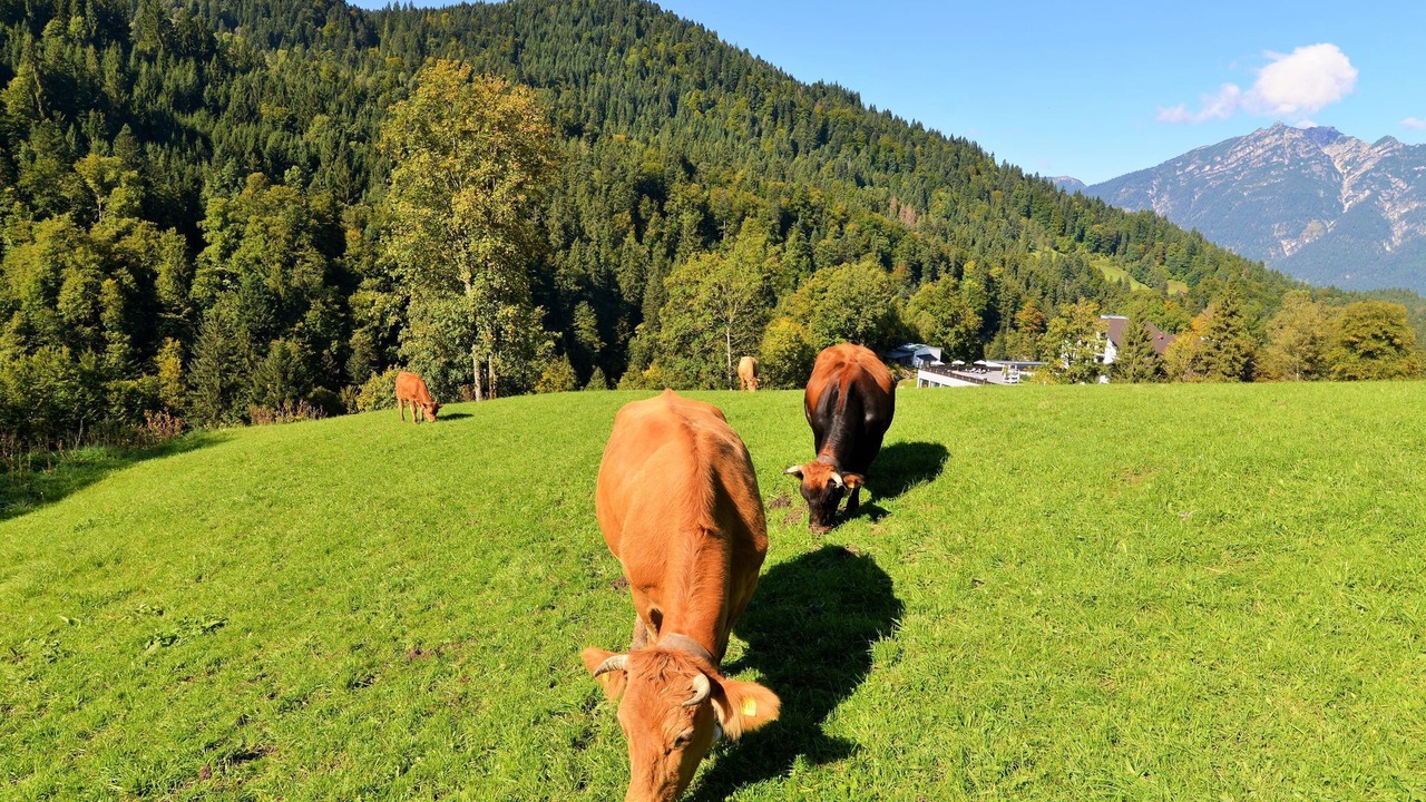 Photo of Others in Garmisch-Partenkirchen