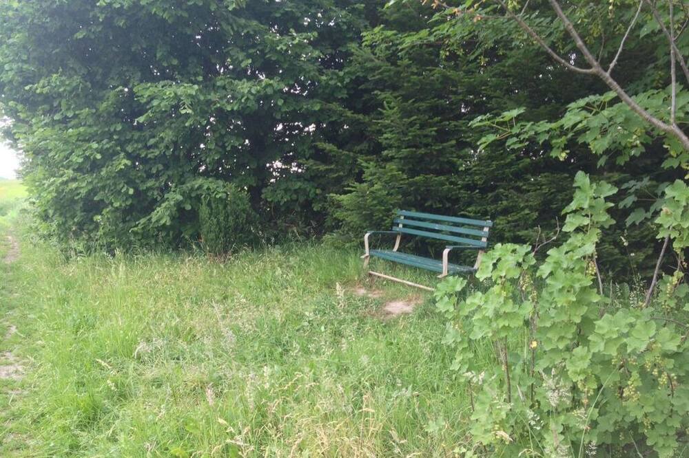 Photo of Others in Lohmen