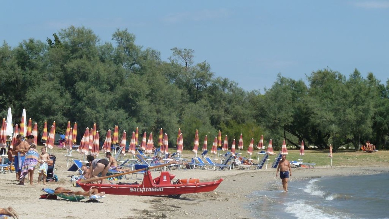 Photo of Others in Marina Julia