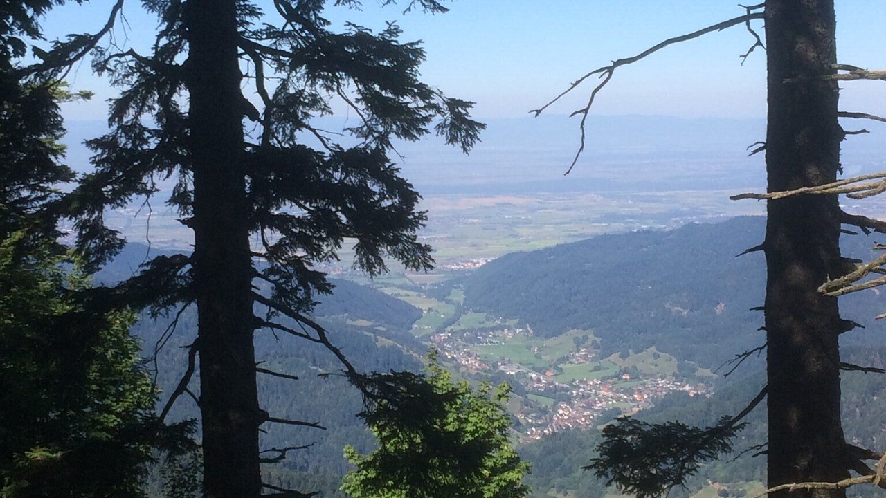Photo of Others in Staufen im Breisgau