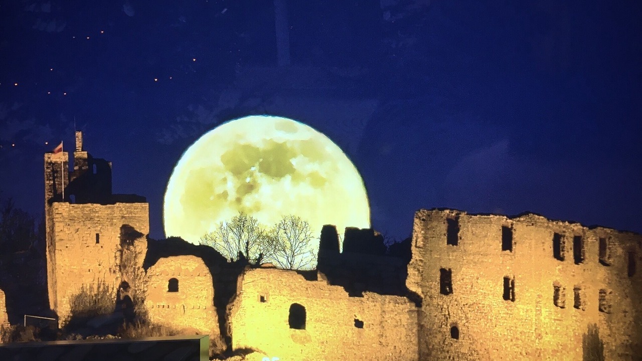 Photo of Others in Staufen im Breisgau