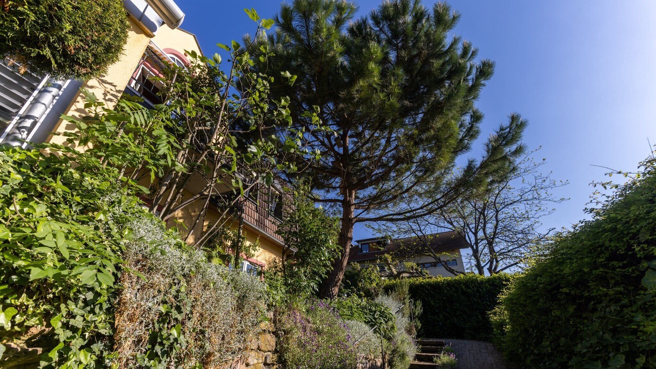 Photo of Outdoor in Staufen im Breisgau