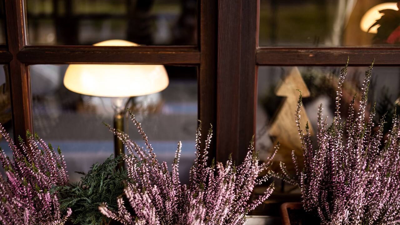Photo of Outdoor in Titisee-Neustadt